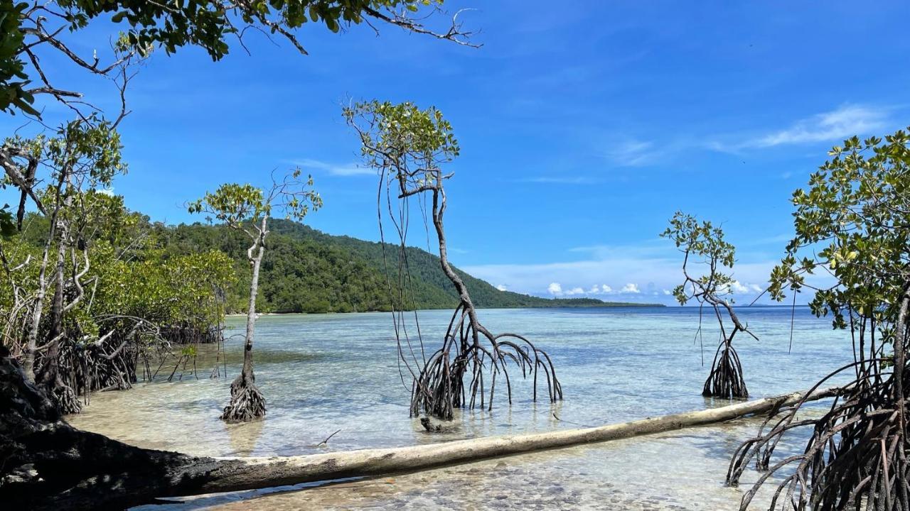 Nyande Raja Ampat Hotel Pulau Mansuar Bagian luar foto